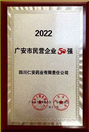 2022.11 廣安市民(mín)營企業(yè)50強