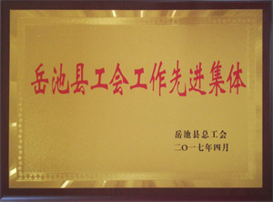 2017.04 嶽池縣工(gōng)會(huì)工(gōng)作先進集體