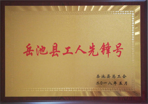 2018.05 嶽池縣工(gōng)人(rén)先鋒号